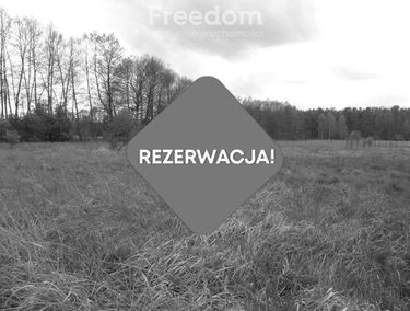 Zdjęcie 15365648