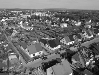 Zdjęcie 15366626