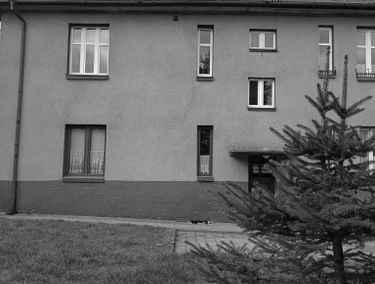 Zdjęcie 15367087