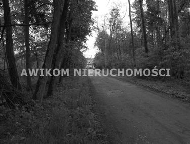 Zdjęcie 15367338