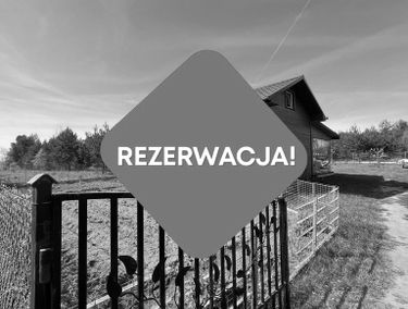 Zdjęcie 15367362