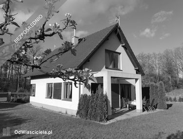 Zdjęcie 15367539