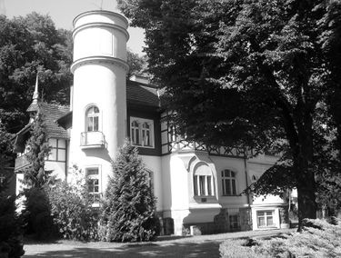 Zdjęcie 15367819