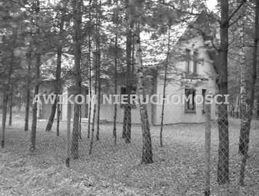 Zdjęcie 15368762