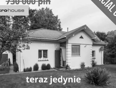 Zdjęcie 15369026