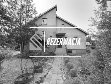 Zdjęcie 15369110