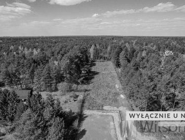 Zdjęcie 15369654