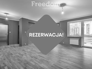 Zdjęcie 15371437