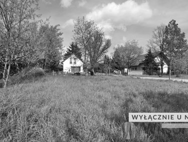 Zdjęcie 15372054