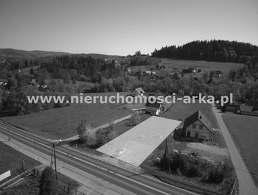 Zdjęcie 15372116