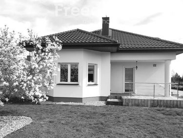 Zdjęcie 15372314