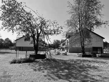 Zdjęcie 15372552