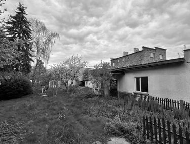Zdjęcie 15373582