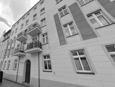 Zdjęcie 15375480