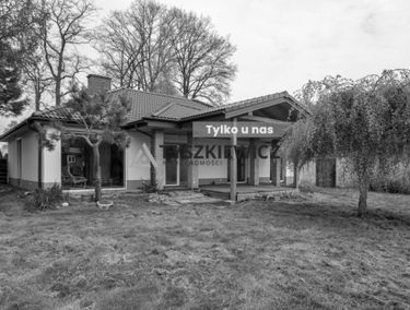 Zdjęcie 15375733