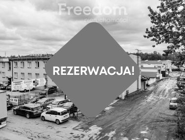Zdjęcie 15376047