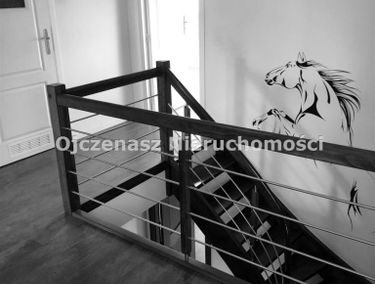 Zdjęcie 15376664