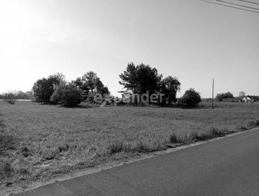 Zdjęcie 15376849