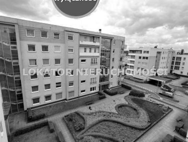 Zdjęcie 15377056
