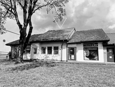 Zdjęcie 15377909