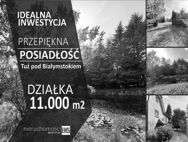 Zdjęcie 15378000