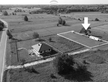 Zdjęcie 15378648