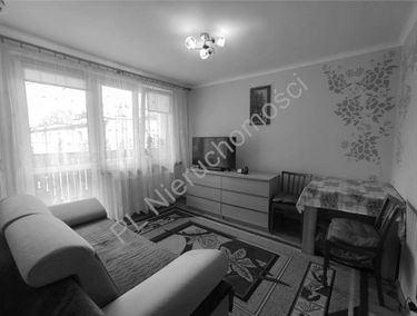 Zdjęcie 15379915
