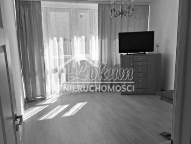 Zdjęcie 15380614