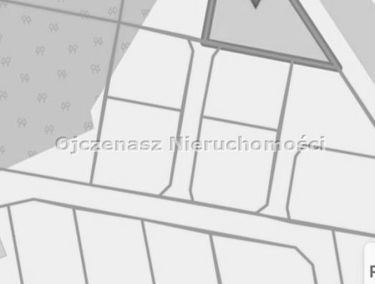Zdjęcie 15380993