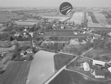 Zdjęcie 15381302