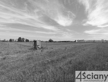 Zdjęcie 15381370