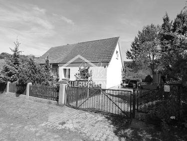 Zdjęcie 15381616