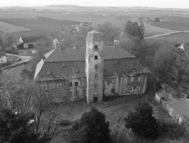 Zdjęcie 15382905