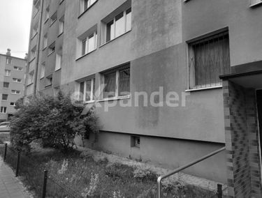 Zdjęcie 15383086