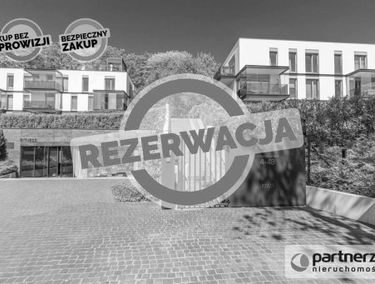 Zdjęcie 15384084