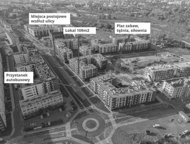 Zdjęcie 15385392