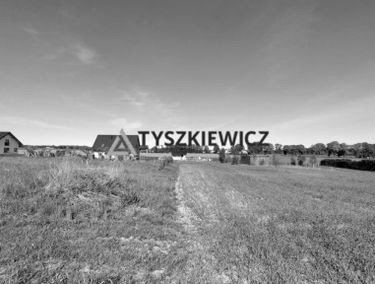 Zdjęcie 15385476
