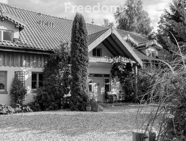 Zdjęcie 15385803