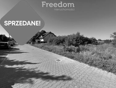 Zdjęcie 15386070