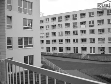 Zdjęcie 15386185