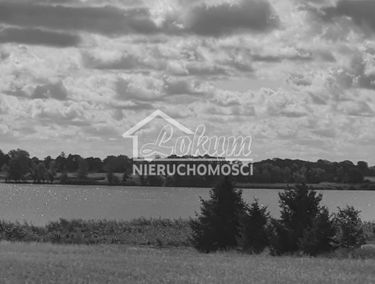 Zdjęcie 15387040