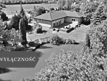 Zdjęcie 15387653