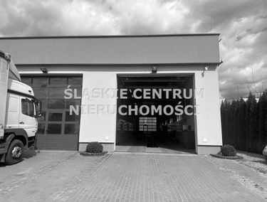 Zdjęcie 15387824