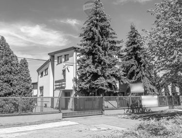 Zdjęcie 15388238