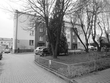 Zdjęcie 15388819