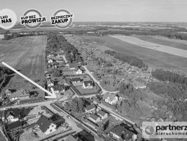 Zdjęcie 15388890