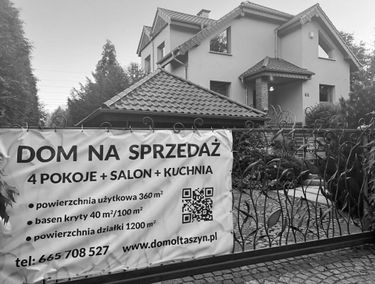 Zdjęcie 15390485