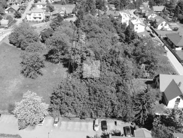 Zdjęcie 15390704