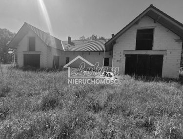 Zdjęcie 15390741