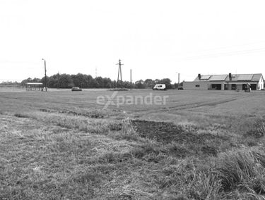 Zdjęcie 15390770